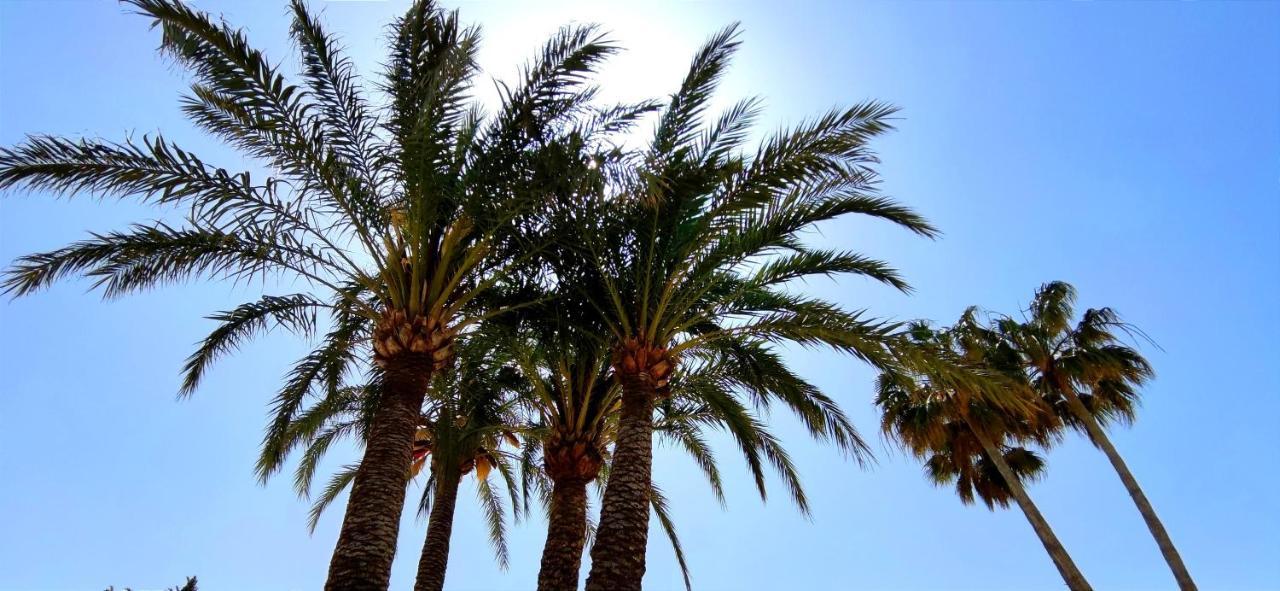 Apartamento Denia Beach By Denia Costa エクステリア 写真